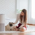 The Best Air Filter for Homes with Pets: Keep Your Pet Happy and Healthy