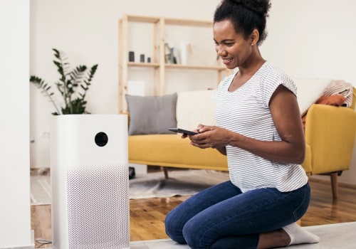 How to Choose the Right Air Filter for Allergies: An Expert Guide