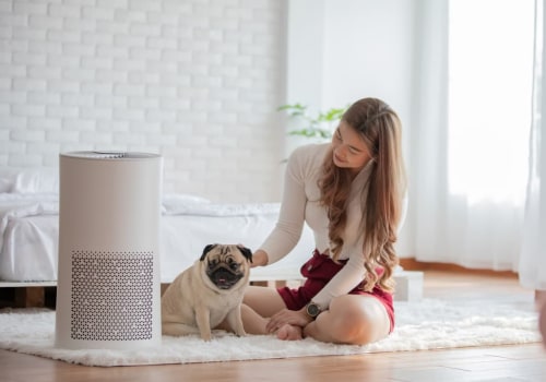 The Best Air Filter for Homes with Pets: Keep Your Pet Happy and Healthy